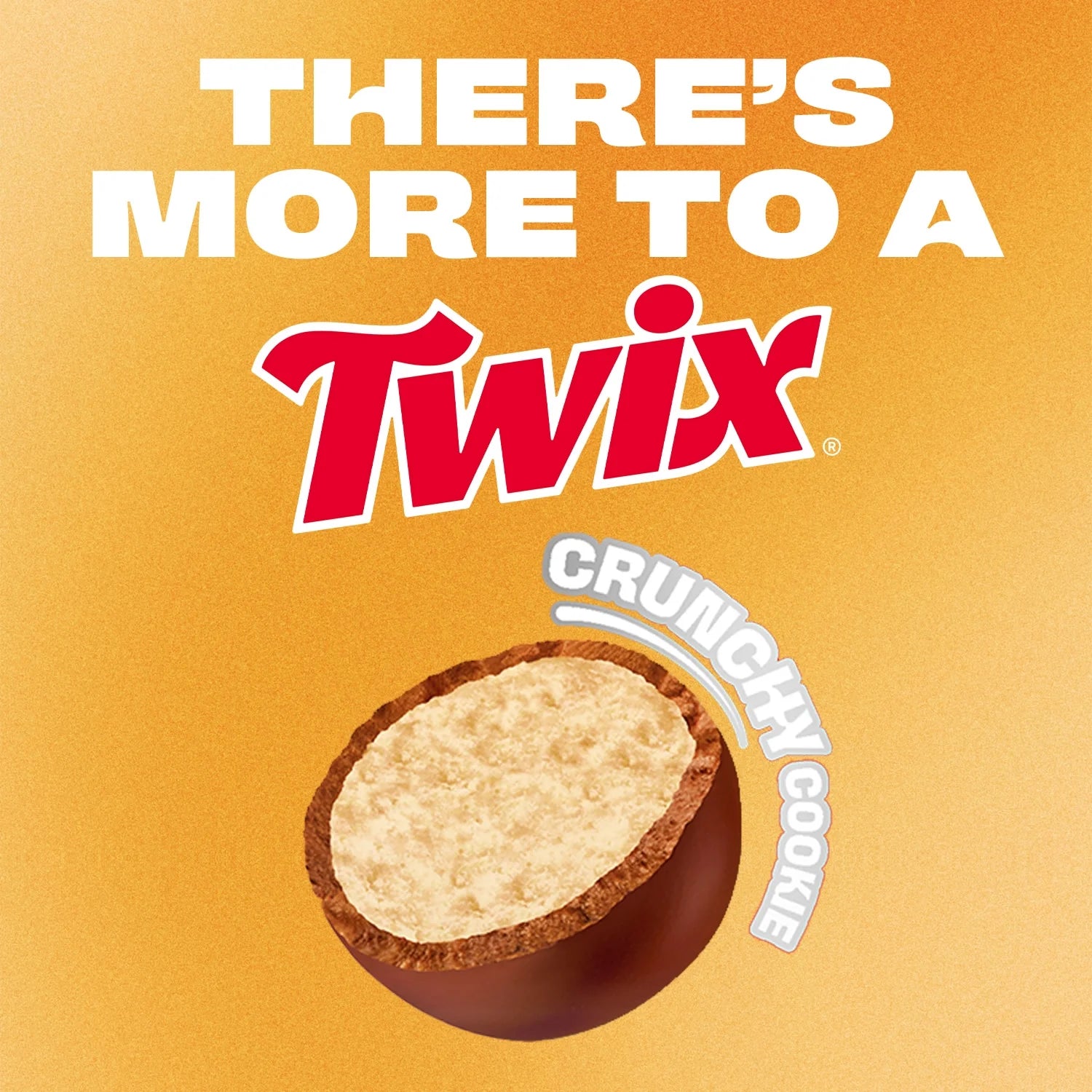 TWIX BITS - SHARE SIZE