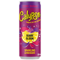 CALIPSO BERRY BLOOM - NEW